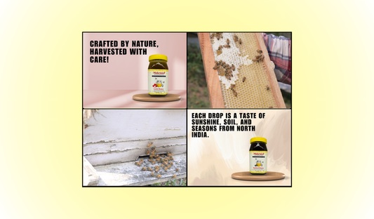 NORTH INDIAN HONEY – Where Orchards Bloom and Bees Dance