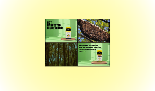 WILD FOREST HONEY – Untamed, Unfiltered, Unbelievably Pure