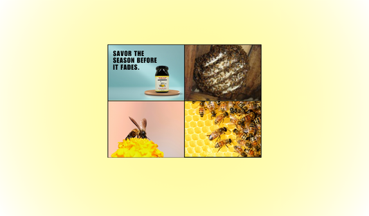 Nature’s Rarest Gift | Makrand's Cerana Indica Honey