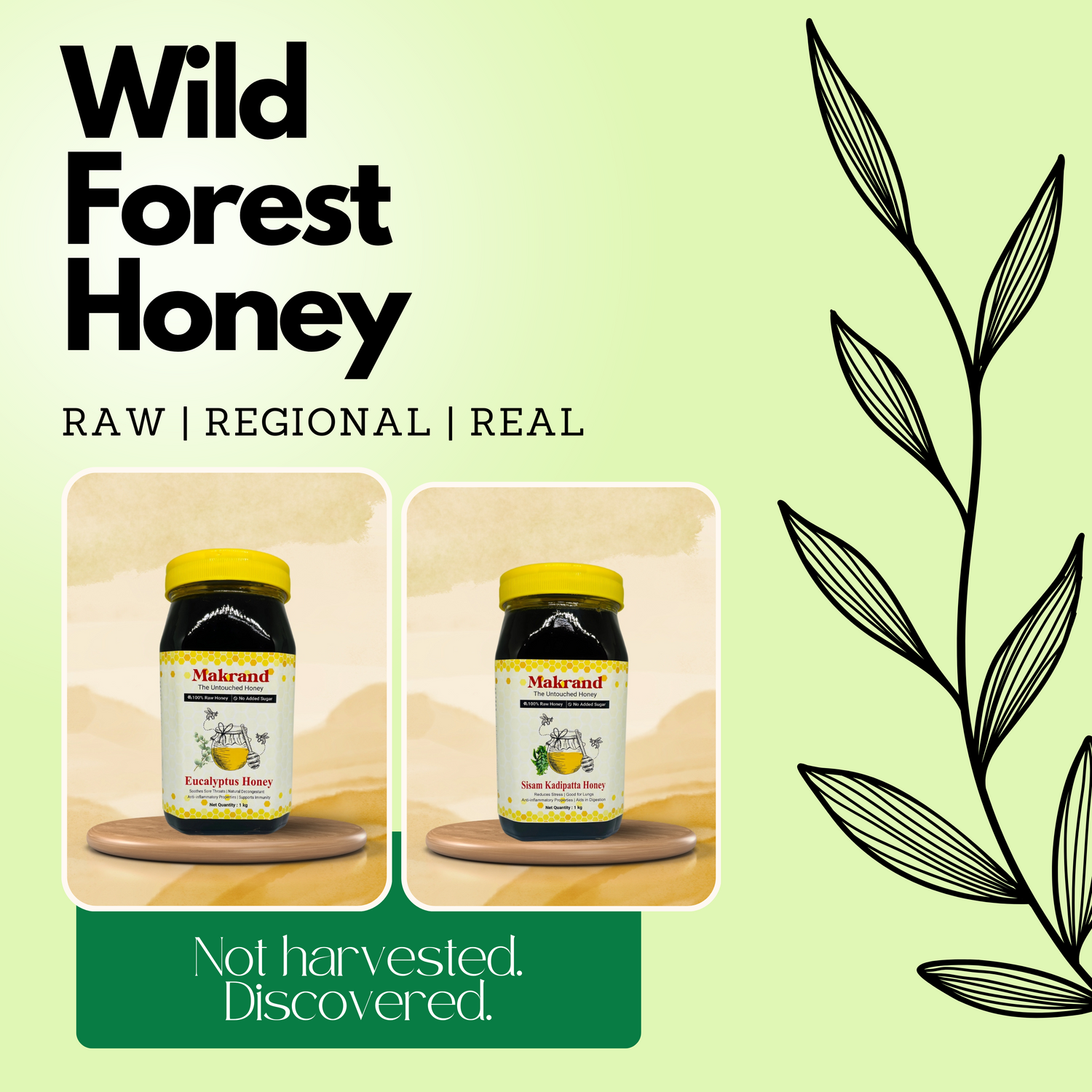 Wild Forest - Makrand Honey