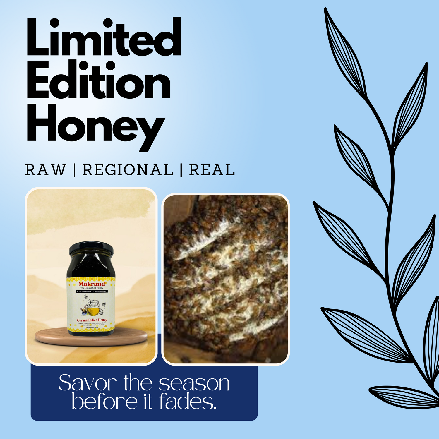 Limited Honey - Makrand Honey