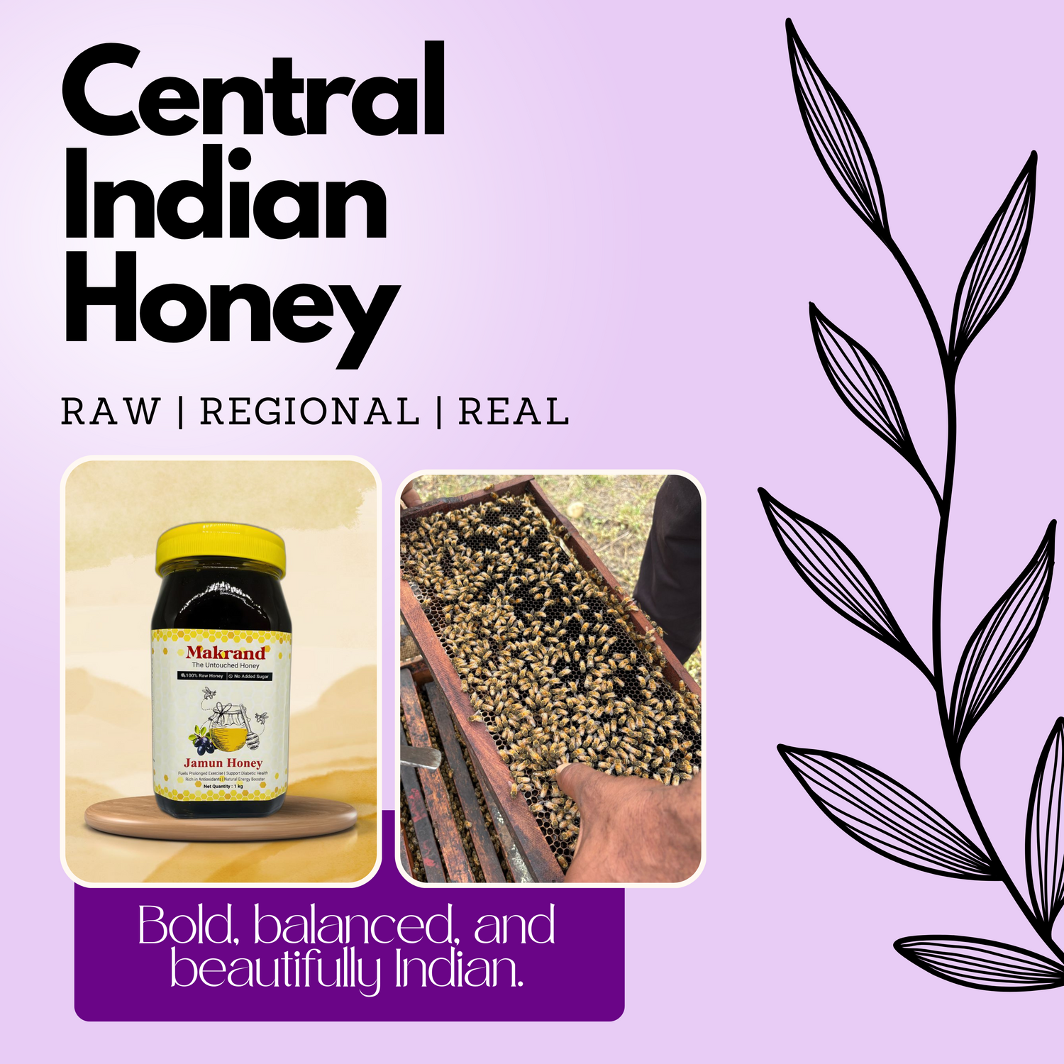 Central India - Makrand Honey